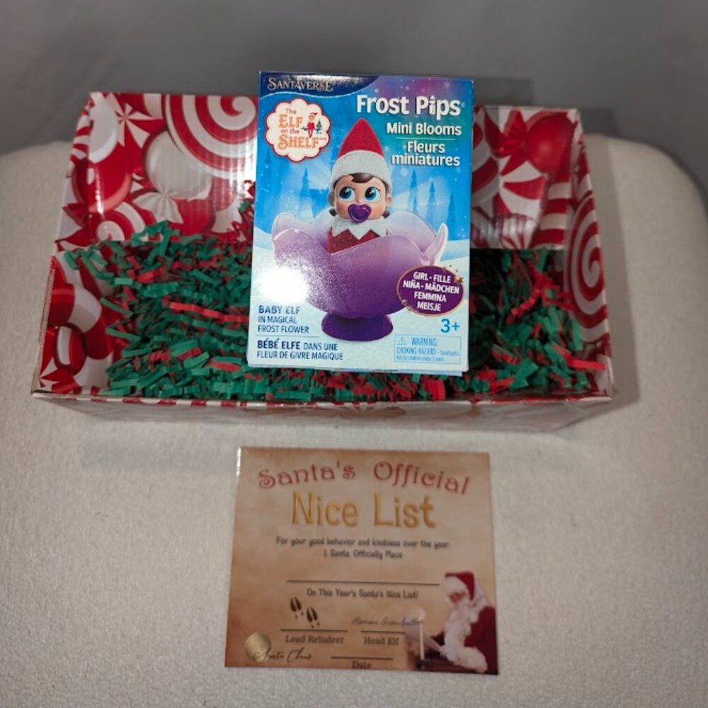 New frost pips elf on the shelf blue eyes girl baby + Santa nice list gift box